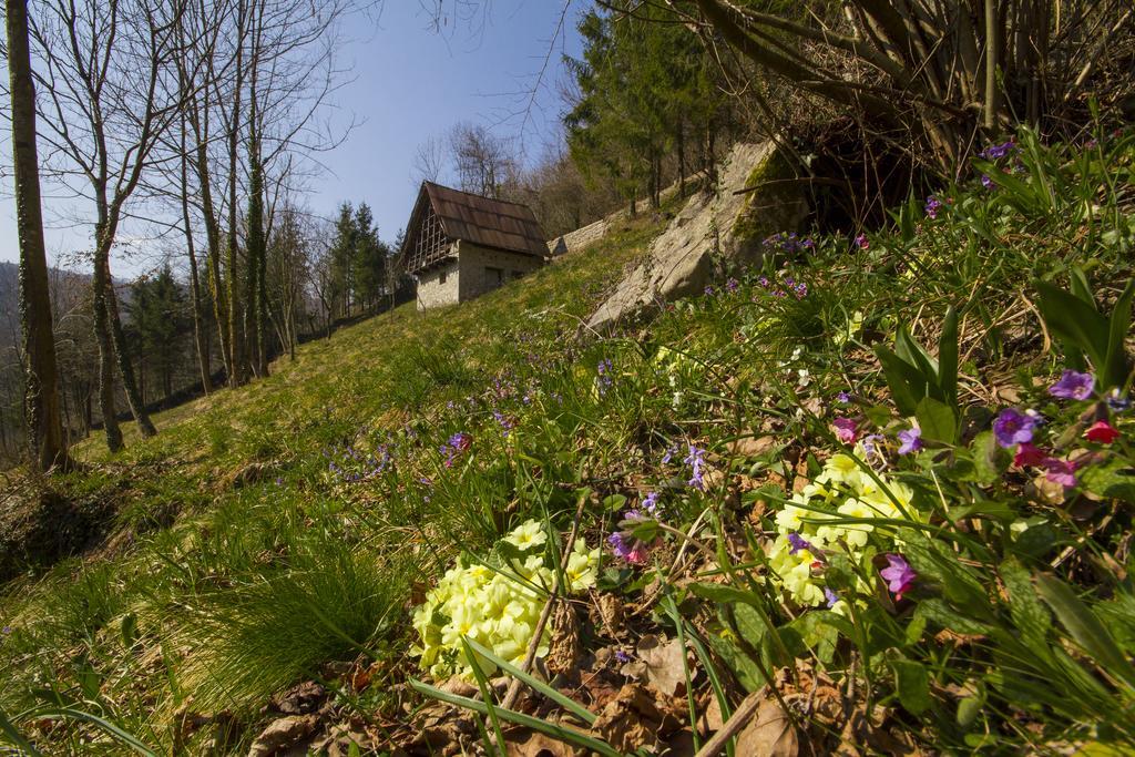 فيلا Casa Delle Noci Grimacco الغرفة الصورة