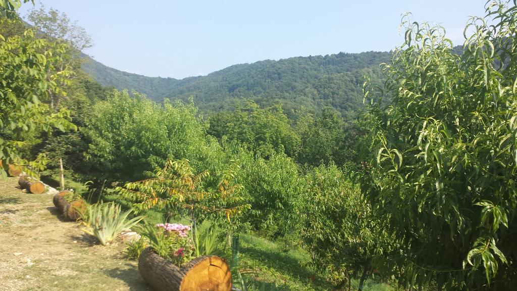 فيلا Casa Delle Noci Grimacco الغرفة الصورة