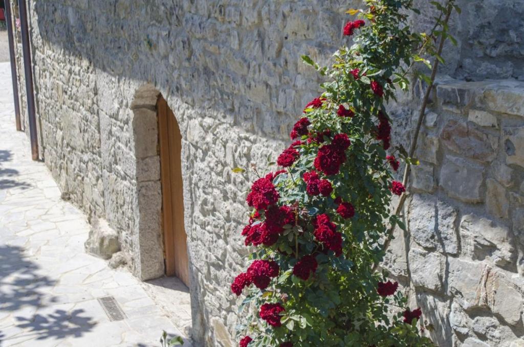 فيلا Casa Delle Noci Grimacco المظهر الخارجي الصورة